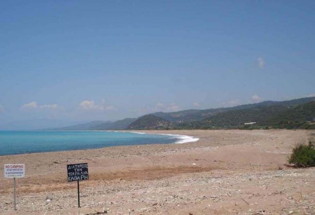 Πελοπόννησος: Η πρώτη φωλιά Caretta caretta στον Κυπαρισσιακό Κόλπο φέτος